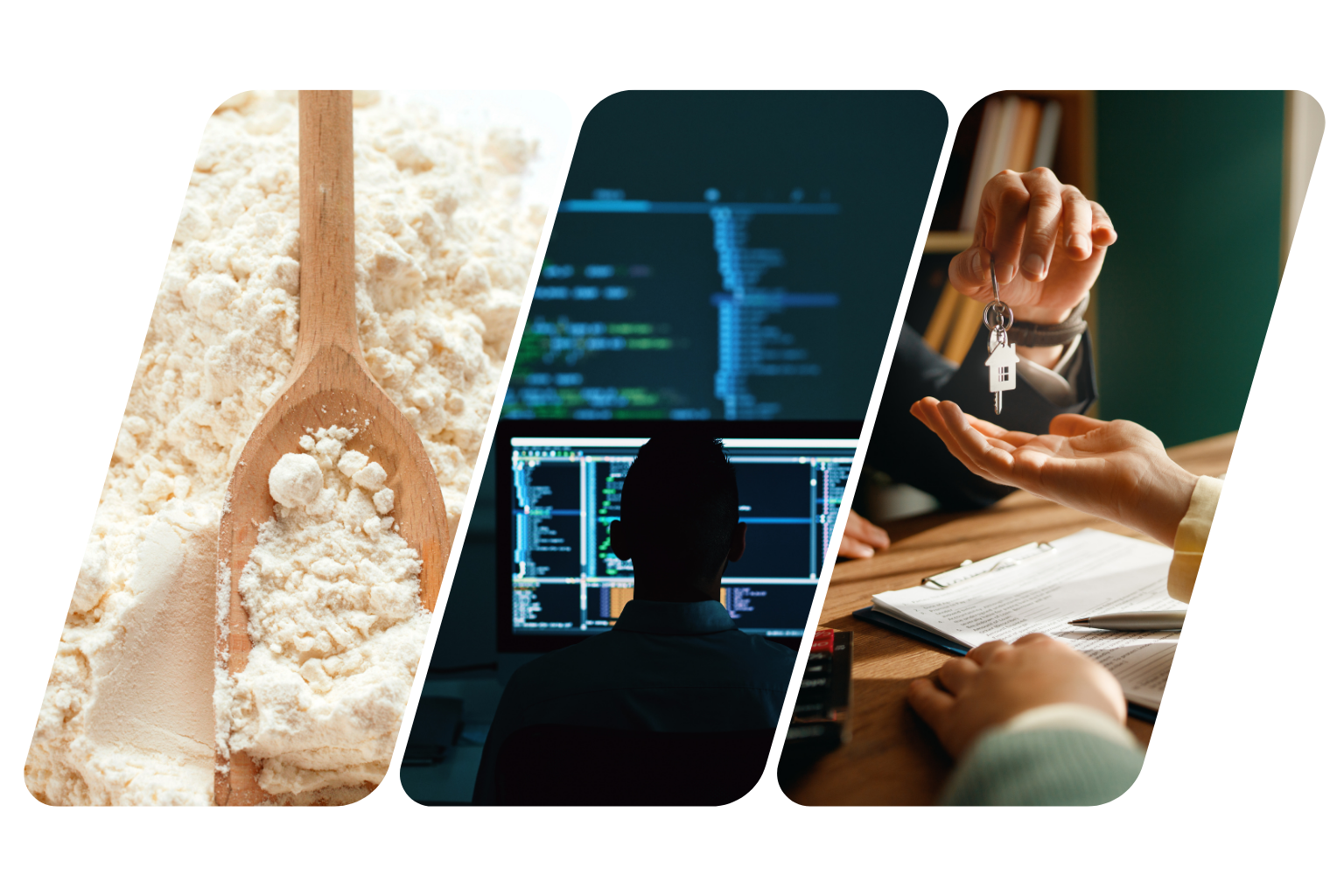 REPT business overview